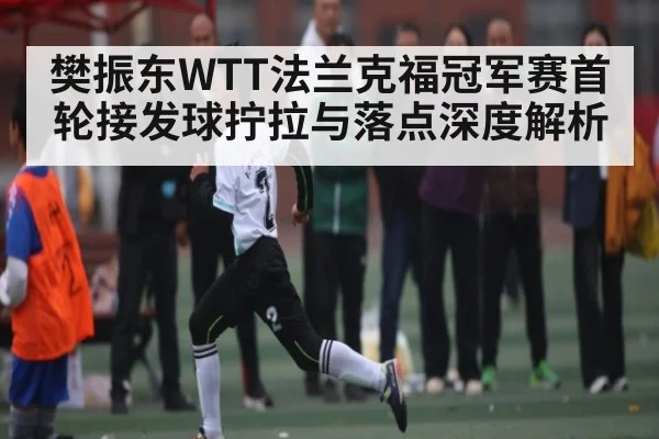 樊振东WTT法兰克福冠军赛首轮接发球拧拉与落点深度解析